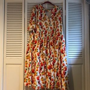 Floral fit and Flare Dress